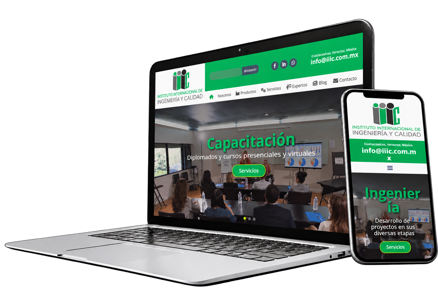 Sitio web de Instituto Internacional de Ingeniería y Calidad