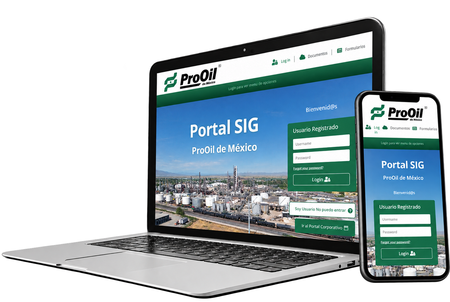 Sitio web de ProOil de México, S.A. de C.V.